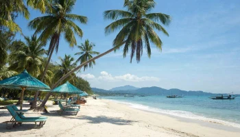 Туристы утверждают, что в отеле на Фукуоке столкнулись с живодерством