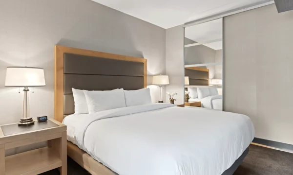 Туристы пожаловались на &laquo;толпу муравьев&raquo; в пятизвездочном отеле в Турции