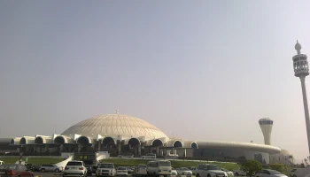 Ливни в Дубае привели к веерным задержкам рейсов из Москвы