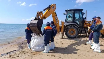 Под Анапой собрали более 1000 мешков песка с мазутом