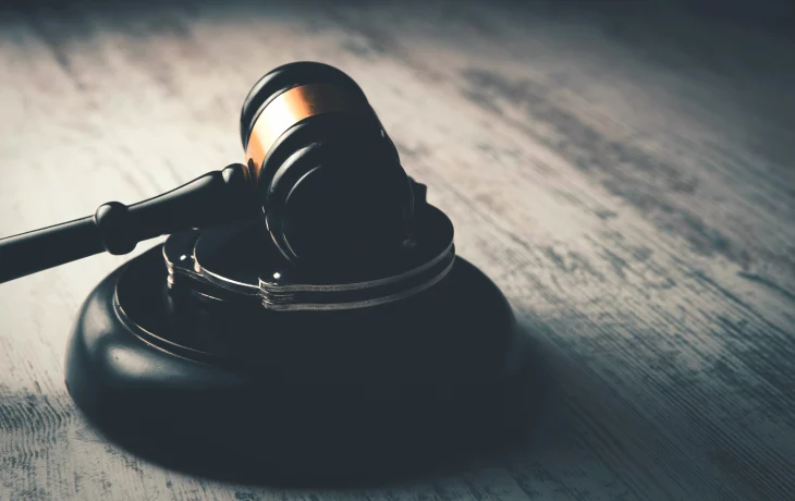 Туристы отсудили 239 тысяч рублей за номер с клопами Туристы отсудили 239 тысяч рублей за номер с клопами