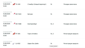 Из-за плана «ковер» туристы не могут улететь в Турцию и Египет