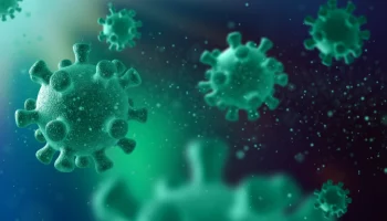 Из-за смертельного вируса в аэропорту Пхукета усилили меры безопасности