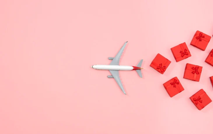 Туристам предложили найти в сугробе скидки на билеты в теплые края Туристам предложили найти в сугробе скидки на билеты в теплые края