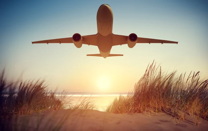 В Общественной палате предложили выдавать многодетным бесплатные авиабилеты на курорты В Общественной палате предложили выдавать многодетным бесплатные авиабилеты на курорты