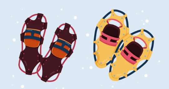 Европейских туристов, попавших в Россию, будут судить в Финляндии