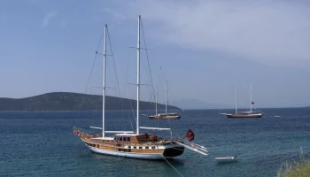 Рейсы в Даламан и Бодрум на лето заявлены только из Москвы и еще трех городов