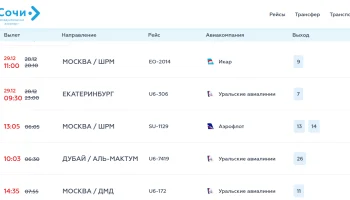 Из-за непогоды в аэропорту Сочи задержки до 15 часов