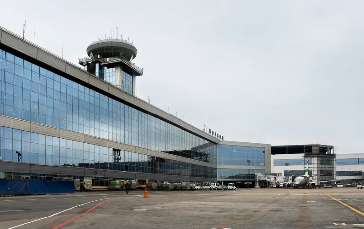 Туристов продержали на досмотре в Домодедово лишние 4 часа