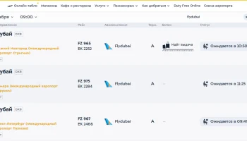 Вместо Москвы туристы, возвращавшиеся с курортов, оказались в разных аэропортах страны