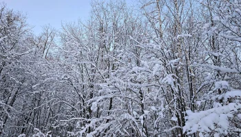 На Москву обрушится снежный шторм