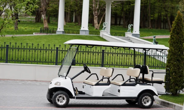 В Ялте подросток перевернул электрокар с туристами