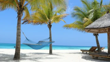 Массовые беспорядки отразились на туристах в Танзании