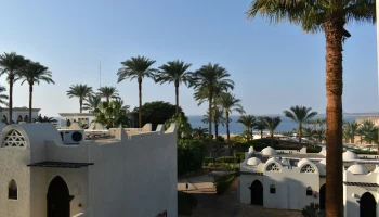 Авиакомпании соревнуются в дешевизне билетов в Египет