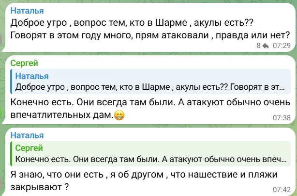 Туристов напугали новостями о &laquo;массовом отлове акул&raquo; в Египте