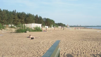 Все пляжи Санкт-Петербурга непригодны для купания: заявление Роспотребнадзора