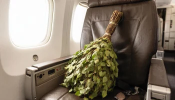 Банный веник, палатка и безмен: что необычного забывали пассажиры на борту &laquo;России&raquo;