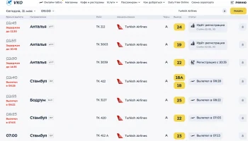 У Turkish Airlines сохраняются задержки до 12 часов на рейсах из Москвы