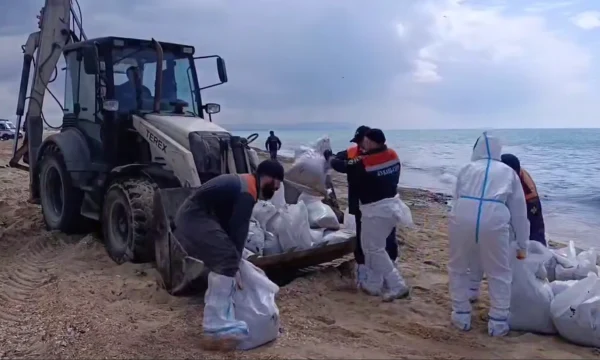 Волонтеры готовы чистить пляжи Анапы в майские праздники