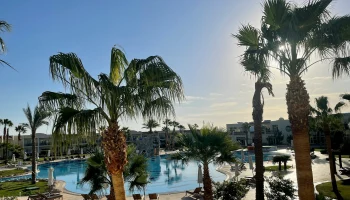 Туристов отвезут в Египет и обратно за 5 тысяч рублей