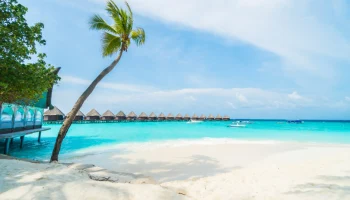 Туристы удивляются: отдых в Анапе дороже Мальдив