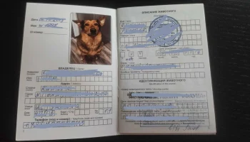 Генконсульство РФ предупредило туристов о строгих правилах путешествия по Китаю с животными