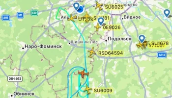 Борт Turkish Airlines не улетел в Анталью из Москвы из-за столкновения с птицами