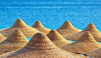 Куда податься? Туристов удивили новые сроки подачи на кипрскую визу