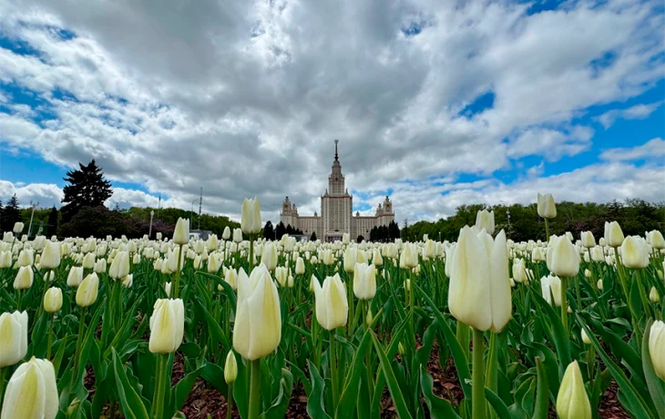 Москва стала привлекательнее Нью-Йорка, Парижа и Японии Москва стала привлекательнее Нью-Йорка, Парижа и Японии
