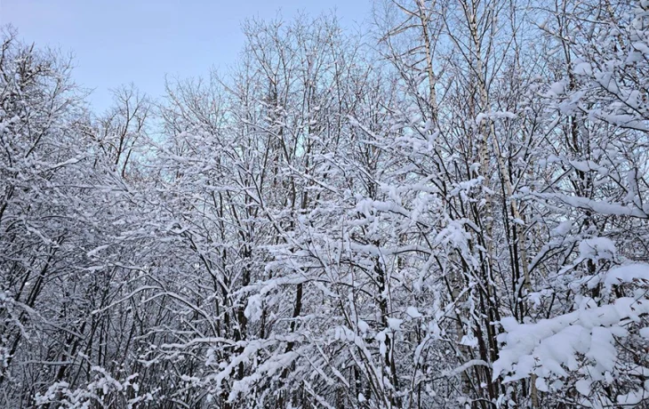 На Москву обрушится снежный шторм
