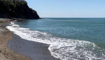 Туристы отменяют бронирования в Туапсе из-за разлива нефти