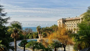 В аэропорту Сочи задержки рейсов в Турцию достигают 30 часов из-за &laquo;ковра&raquo;