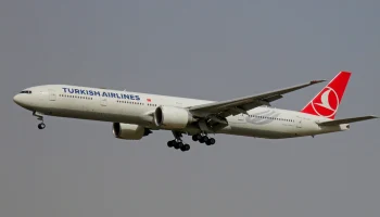 Росавиация обратила внимание на претензии туристов к Turkish Airlines