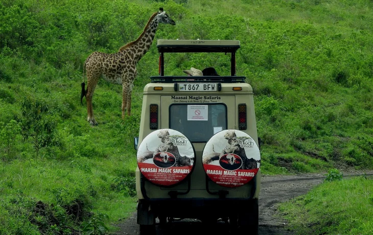 Переговоры об авиасообщении России с Танзанией вышли на финишную прямую Переговоры об авиасообщении России с Танзанией вышли на финишную прямую