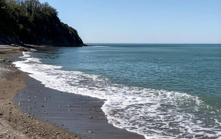 Туристы отменяют бронирования в Туапсе из-за разлива нефти