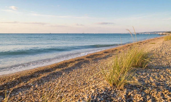 К пляжам Анапы ветер несет новое нефтяное пятно К пляжам Анапы ветер несет новое нефтяное пятно