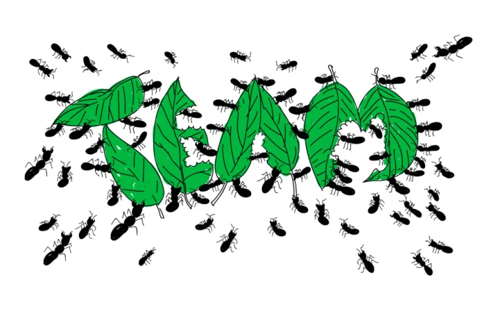 Туристы пожаловалась на «живую тропу муравьев» в пятизвездочном отеле в Египте Туристы пожаловалась на «живую тропу муравьев» в пятизвездочном отеле в Египте