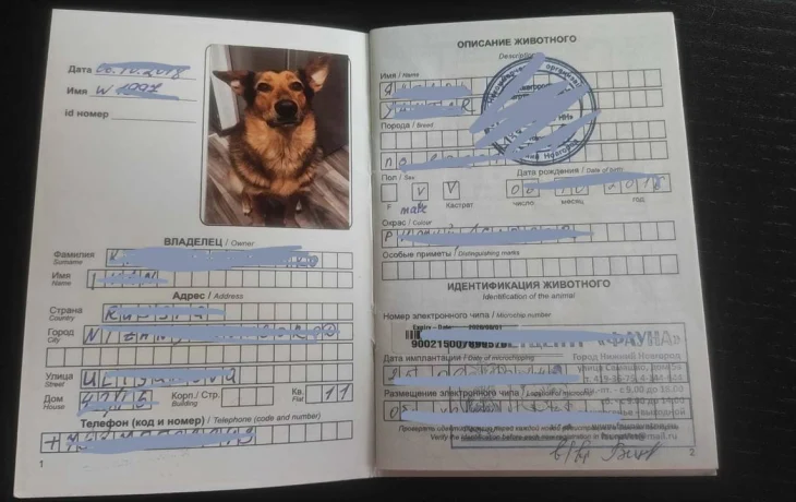 Генконсульство РФ предупредило туристов о строгих правилах путешествия по Китаю с животными