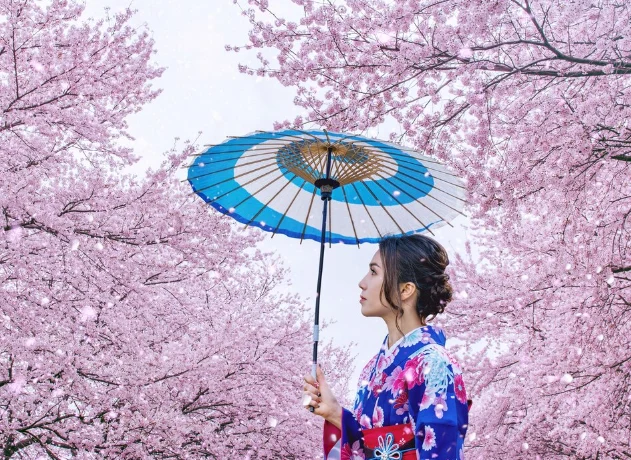 Какими китайскими авиакомпаниями не улететь в Японию на цветение сакуры