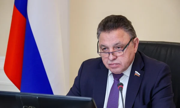 В Совфеде раскритиковали идею отслеживания авиадебоширов в аэропортах