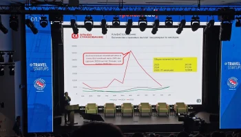 Страховщики готовы платить пассажирам за «ковры» в аэропортах