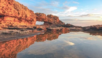 Визовые центры Кипра откроются с 15 декабря в нескольких городах России Визовые центры Кипра откроются с 15 декабря в нескольких городах России