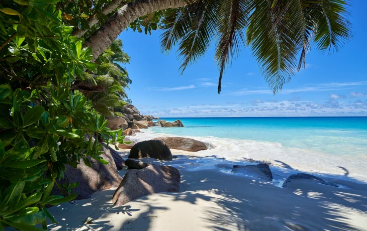 Туристам в последний момент предложили слетать на Сейшелы на Новый год за 60 тысяч рублей