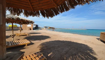 Туристов отвезут в Египет менее чем за 5 тысяч рублей