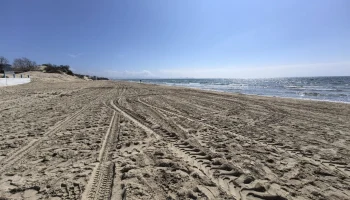 У туристов возникают вопросы к качеству нового песка в Анапе У туристов возникают вопросы к качеству нового песка в Анапе