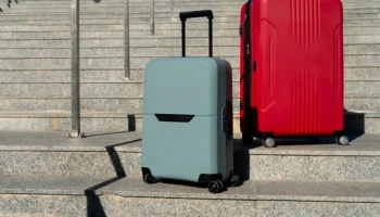 Багажный коллапс во Внуково: вещи пассажиров застряли в Дубае Багажный коллапс во Внуково: вещи пассажиров застряли в Дубае