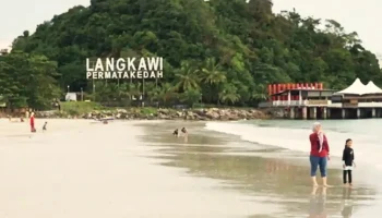 На Лангкави решили запастись противоядием от поражения кубомедузой