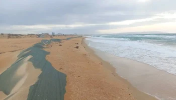 На пляжах Анапы вновь нашли мазут На пляжах Анапы вновь нашли мазут