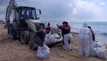 Волонтеры готовы чистить пляжи Анапы в майские праздники