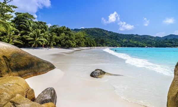 Туристы могут улететь &laquo;Аэрофлотом&raquo; за 9 тысяч на Сейшелы